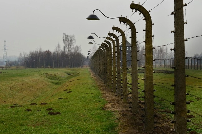 Pulse-Monitored Electric Perimeter Fencing